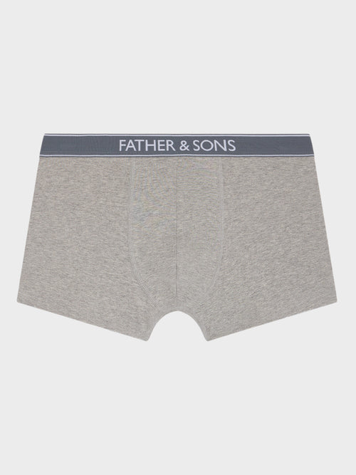 Boxer en microfibre gris clair - 1 - Father & Sons   - 3 